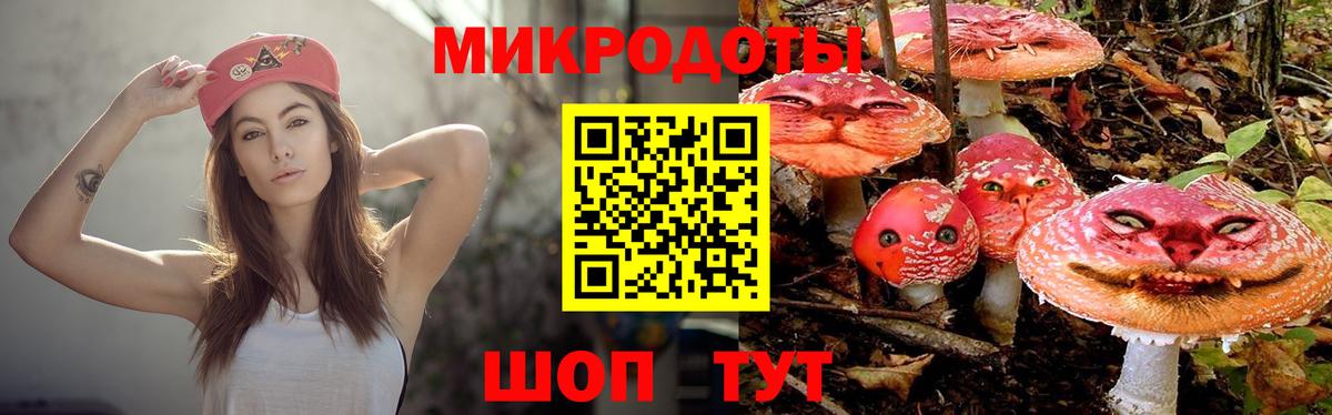 Псилоцибиновые грибы Psilocybe  Вход с VPN  Галлюциногенные грибы прущие грибы  Углич 