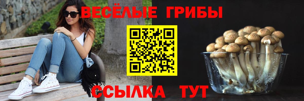 Псилоцибиновые грибы прущие грибы Углич